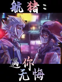 航猪：遇你无悔" width="120" height="150"