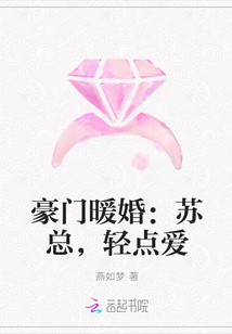 豪门暖婚：苏总，轻点爱