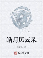 皓月风云录" width="120" height="150"