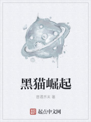 黑猫崛起" width="120" height="150"