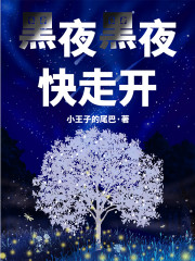 黑夜黑夜快走开