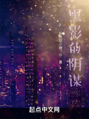 黑影的阴谋" width="120" height="150"