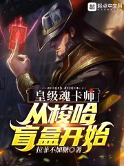 皇级魂卡师：从梭哈盲盒开始