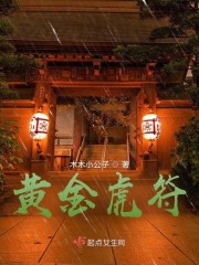黄金虎符" width="120" height="150"