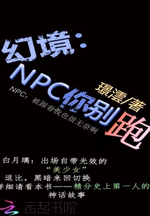 幻境：NPC你别跑