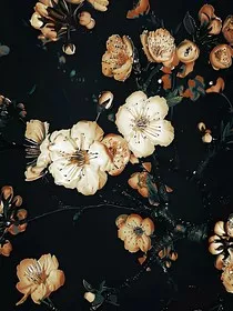 花月酒楼" width="120" height="150"