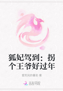 狐妃驾到：拐个王爷好过年