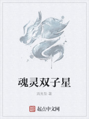 魂灵双子星" width="120" height="150"