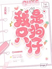 火凤凰：我只是狗仔" width="120" height="150"