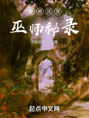 霍格沃茨巫师秘录" width="120" height="150"