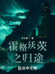 霍格沃茨之归途" width="120" height="150"