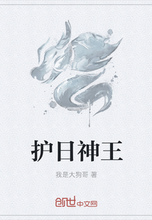 护日神王" width="120" height="150"