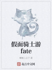 假面骑士游fate