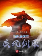 江湖中的疾风剑豪" width="120" height="150"