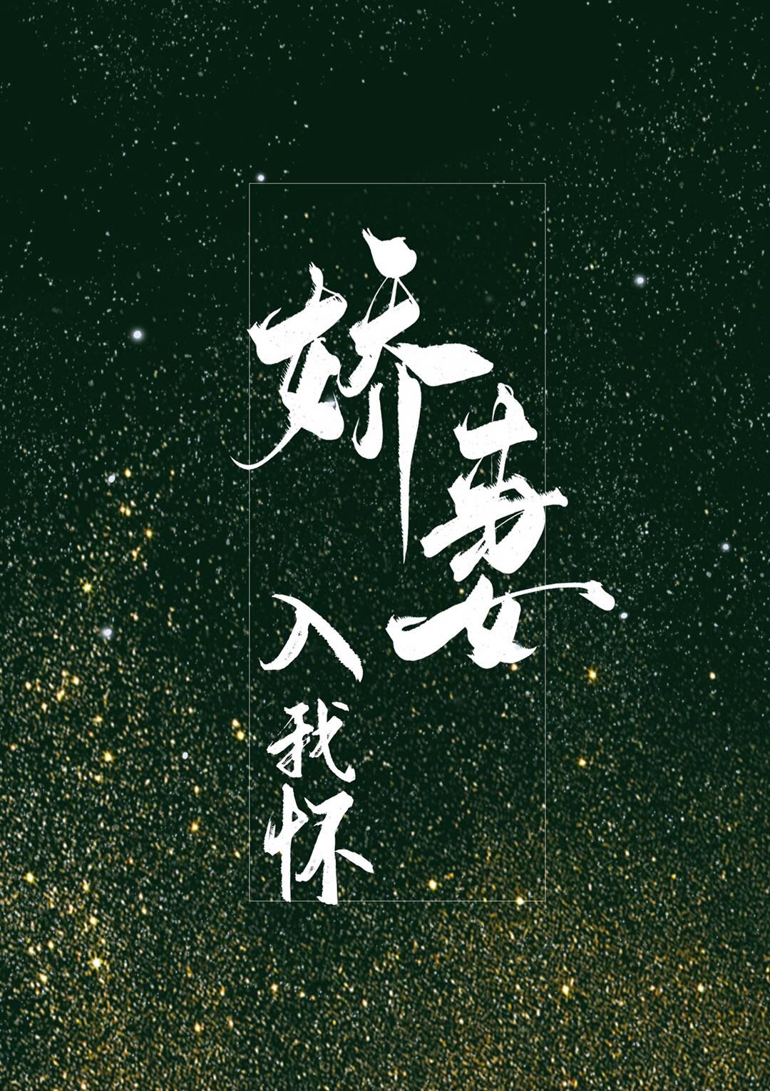 娇妻入我怀" width="120" height="150"
