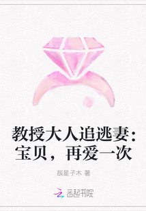 教授大人追逃妻：宝贝，再爱一次