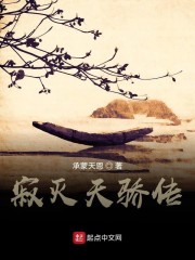 寂灭天骄传" width="120" height="150"