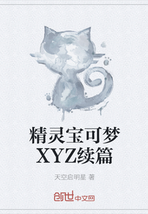 精灵宝可梦XYZ续篇