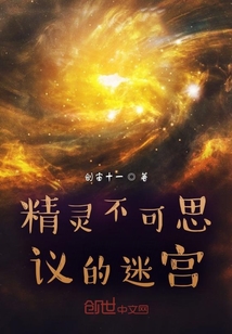 精灵不可思议的迷宫" width="120" height="150"