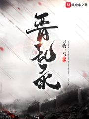 晋乱录" width="120" height="150"