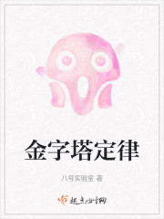 金字塔定律" width="120" height="150"