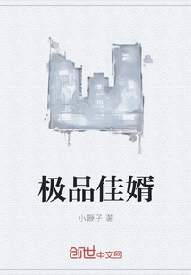 极品佳婿" width="120" height="150"