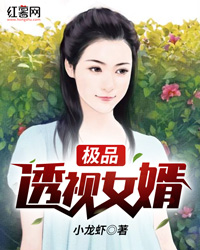 极品透视女婿