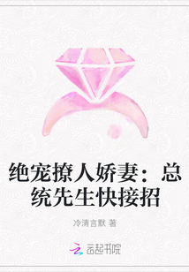 绝宠撩人娇妻：总统先生快接招