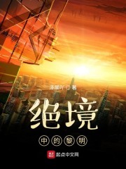 绝境中的黎明" width="120" height="150"