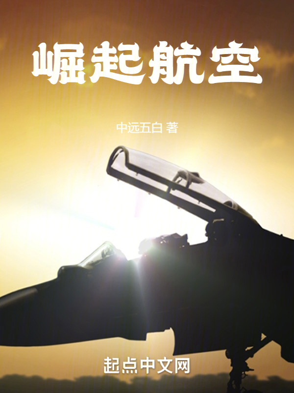 崛起航空" width="120" height="150"