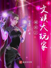 崛起之文娱大玩家" width="120" height="150"
