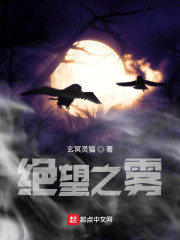 绝望之雾" width="120" height="150"
