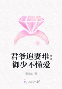 君爷追妻难：御少不懂爱