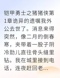 铠甲勇士之辰戌纪" width="120" height="150"