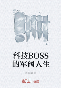 科技BOSS的军阀人生