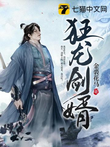 狂龙剑婿" width="120" height="150"
