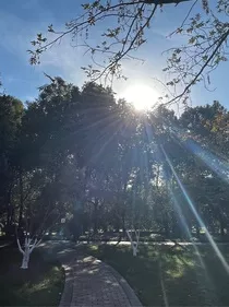 枯木逢春—又名栖息地" width="120" height="150"