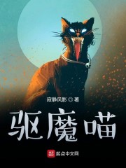 来自异时空的猫