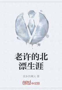老许的北漂生涯" width="120" height="150"
