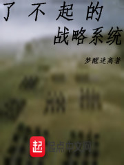 了不起的战略系统" width="120" height="150"