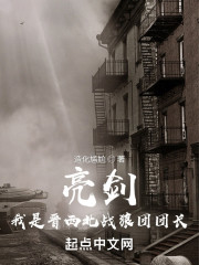 亮剑！我是晋西北战狼团团长" width="120" height="150"