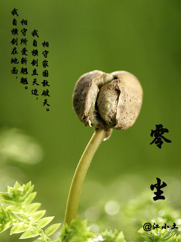 零尘" width="120" height="150"