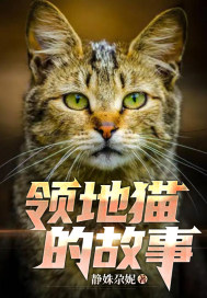 领地猫的故事