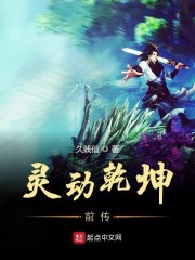 灵动乾坤前传" width="120" height="150"