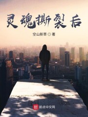 灵魂撕裂后" width="120" height="150"