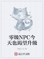 零级NPC今天也渴望升级