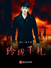 玲珑手札" width="120" height="150"