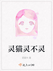 灵猫灵不灵" width="120" height="150"