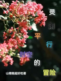 灵渊：平行时空的冒险" width="120" height="150"