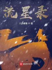 流星录" width="120" height="150"
